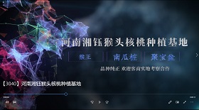 河南湘鈺猴頭核桃彩鈴