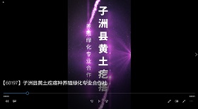 子洲縣黃土疙瘩養(yǎng)殖綠化