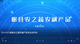 岷縣農(nóng)之蔬產(chǎn)品合作社