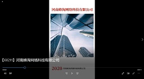 河南蜂淘網絡科技公司