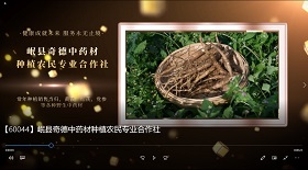 岷縣奇德中藥材種植專業