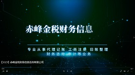 赤峰金稅財務信息咨詢