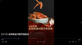 盤錦隆盛河蟹養殖基地