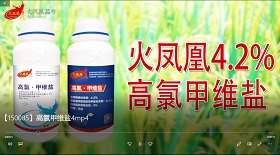 高氯甲維鹽 視頻彩鈴
