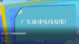 廣東康速電線電纜廠