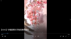寧強縣草川子梨花農家樂