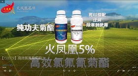 高效氯氟氰菊酯視頻彩鈴